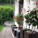 Alpenpension ゲストハウス