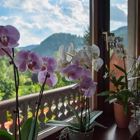 Konukevi Alpenpension 3*