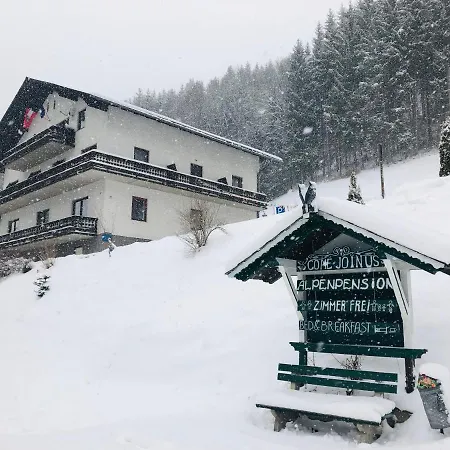Alpenpension Pensión 3*