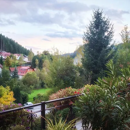 Pensjonat Alpenpension 3*