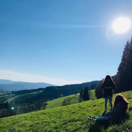 بيت ضيافة Alpenpension