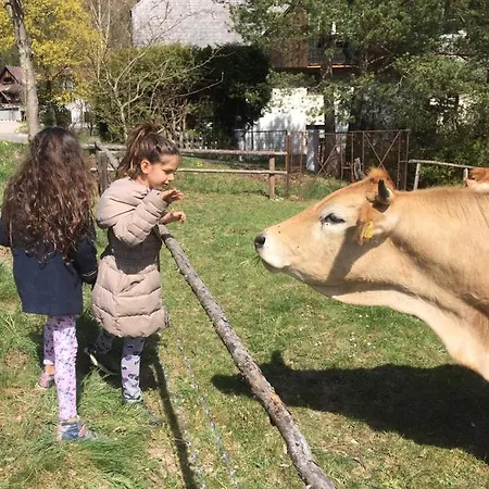 بيت ضيافة Alpenpension راتتن