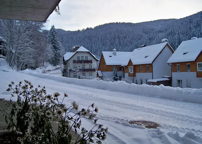 Alpenpension 게스트하우스