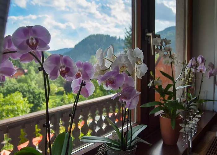 بيت ضيافة Alpenpension 3*