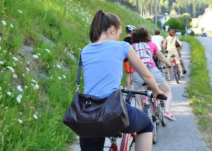 Alpenpension بيت ضيافة 3*