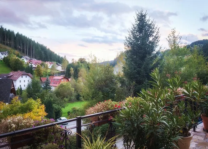 بيت ضيافة Alpenpension 3*