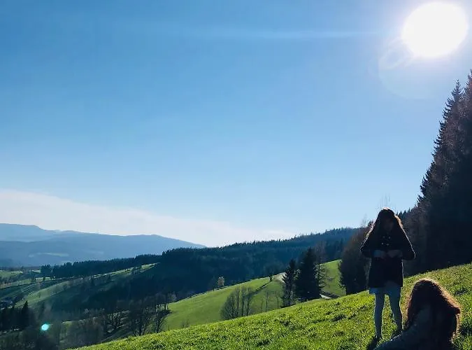 بيت ضيافة Alpenpension