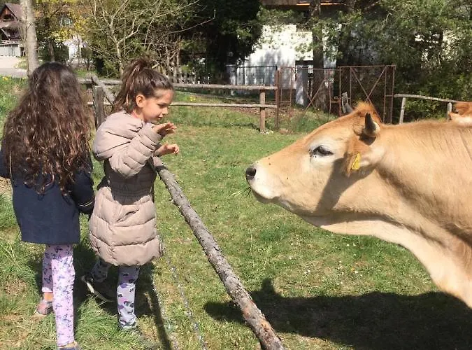 Maison d'hôtes Alpenpension Ratten